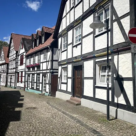 Wohnen An Der Dielenpader - Eisvogel